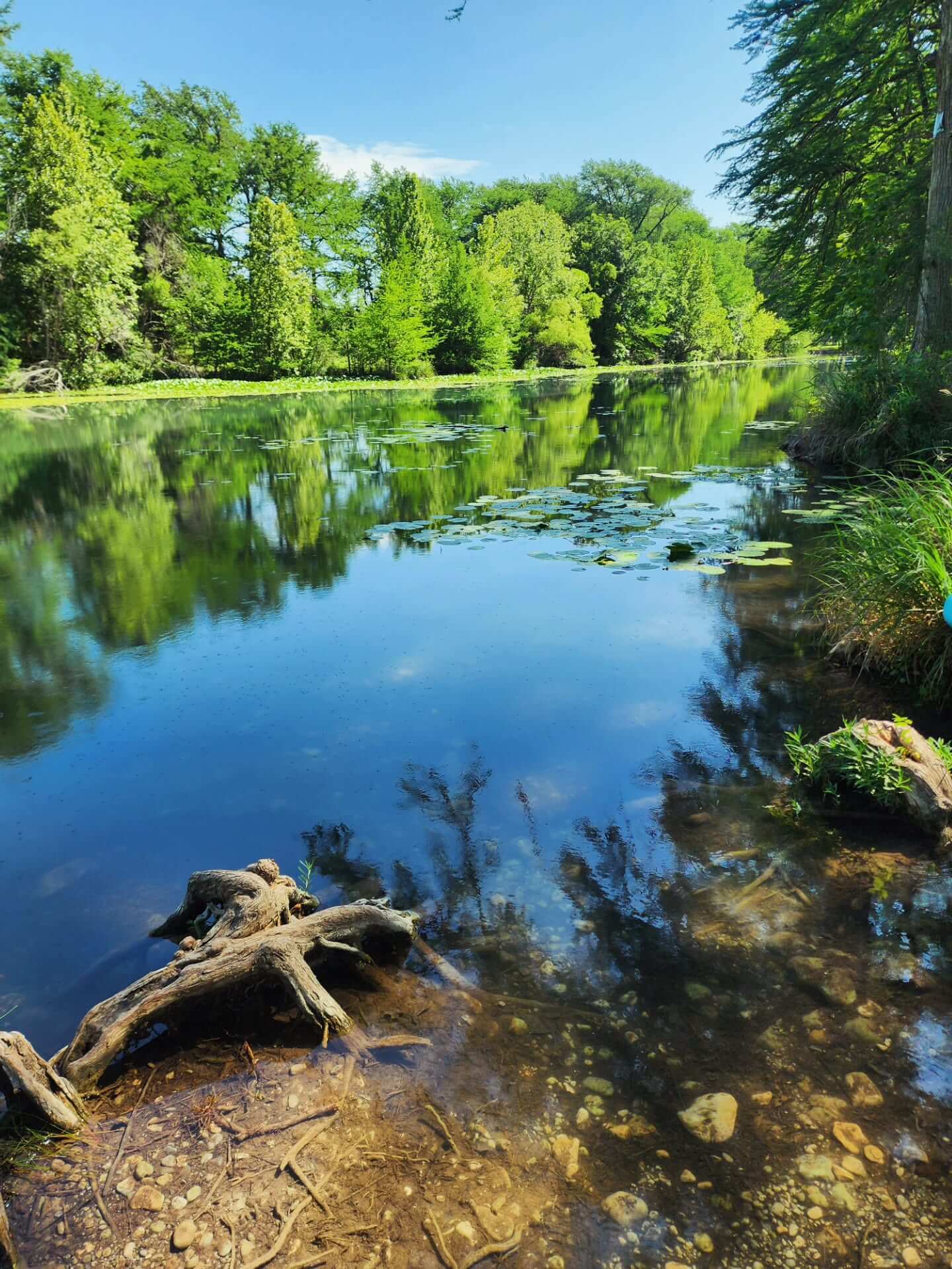 A serene river winds through a lush forest, reflecting the vibrant green trees and clear blue sky on its calm surface in Uvalde County, Texas