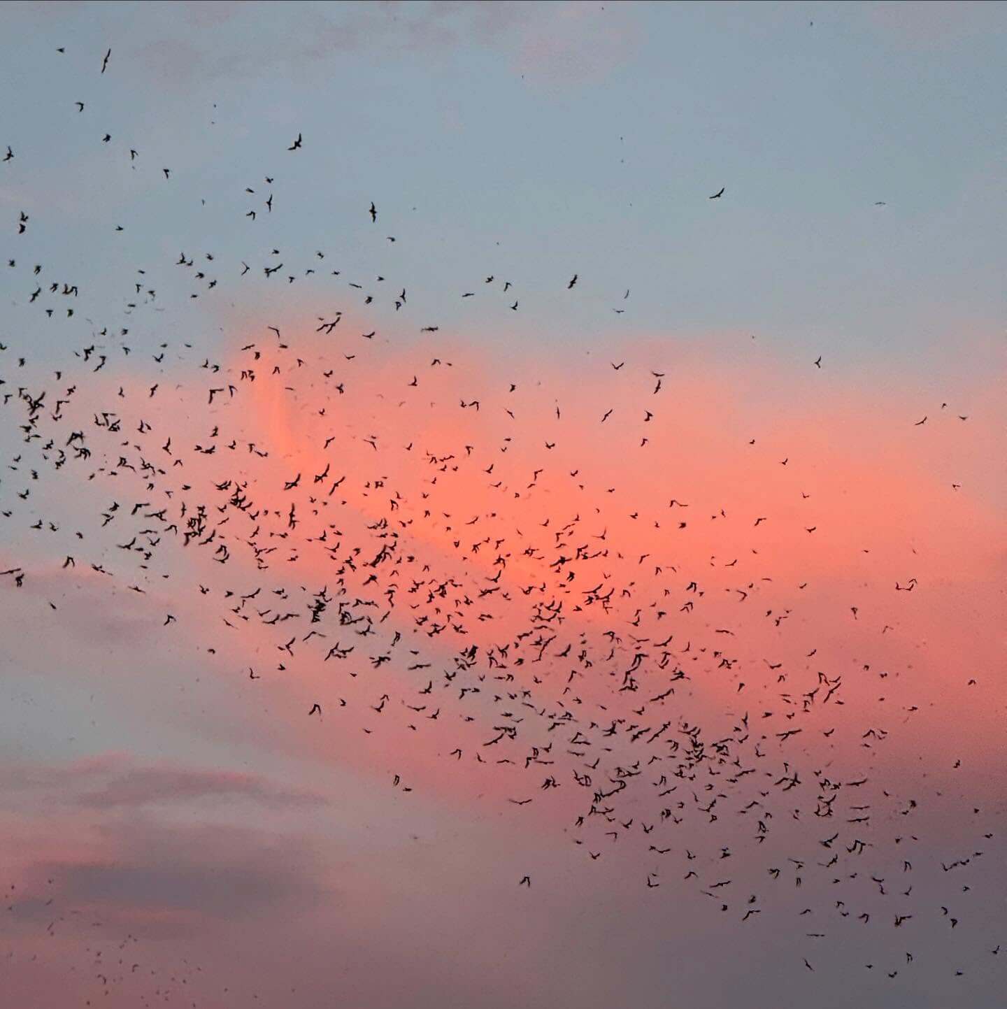 aikomama Instagram 3971 ig 18087369406688345