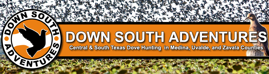 Down South Adventures offers guided dove hunting trips in South Texas, featuring lush fields and abundant wildlife in Uvalde County, Texas