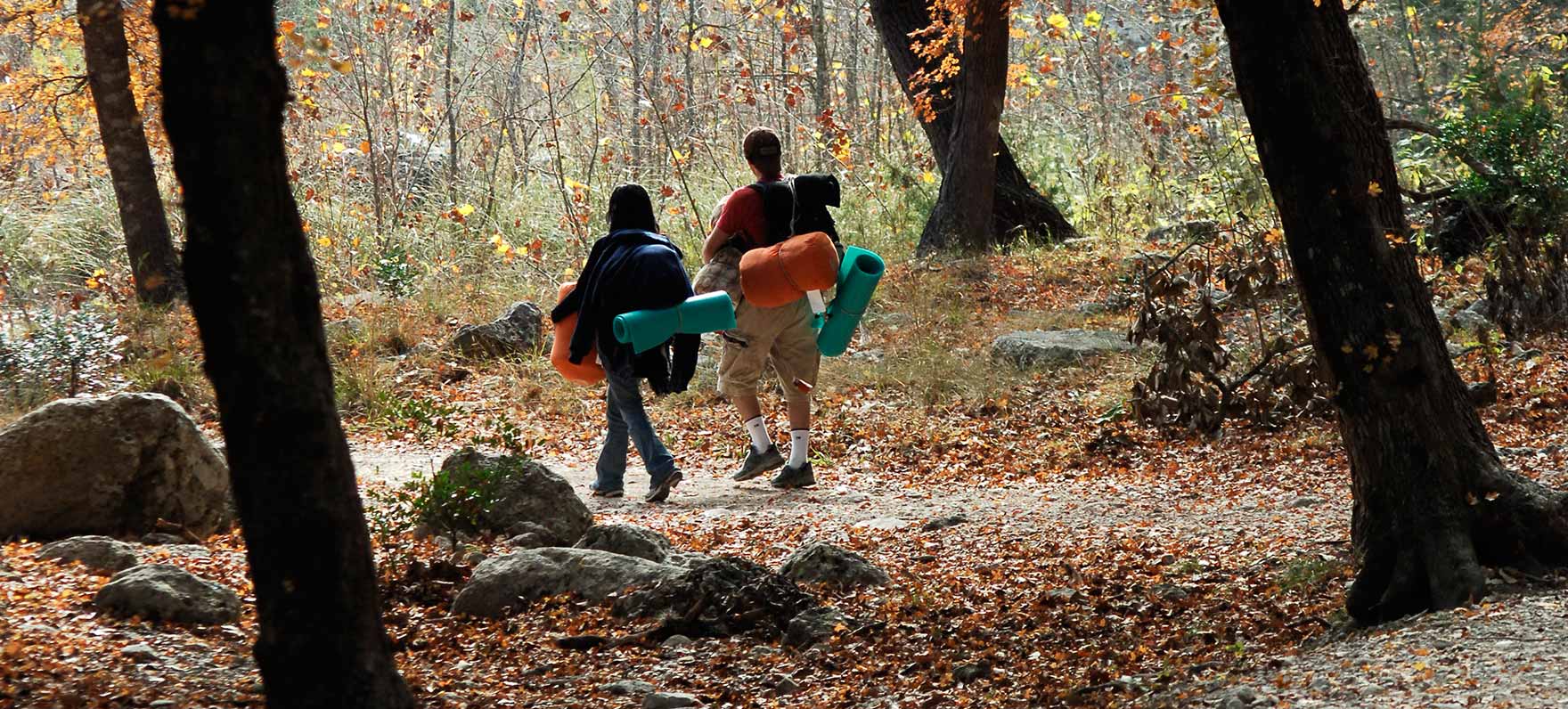 A father and child going camping hiking through the fall woods