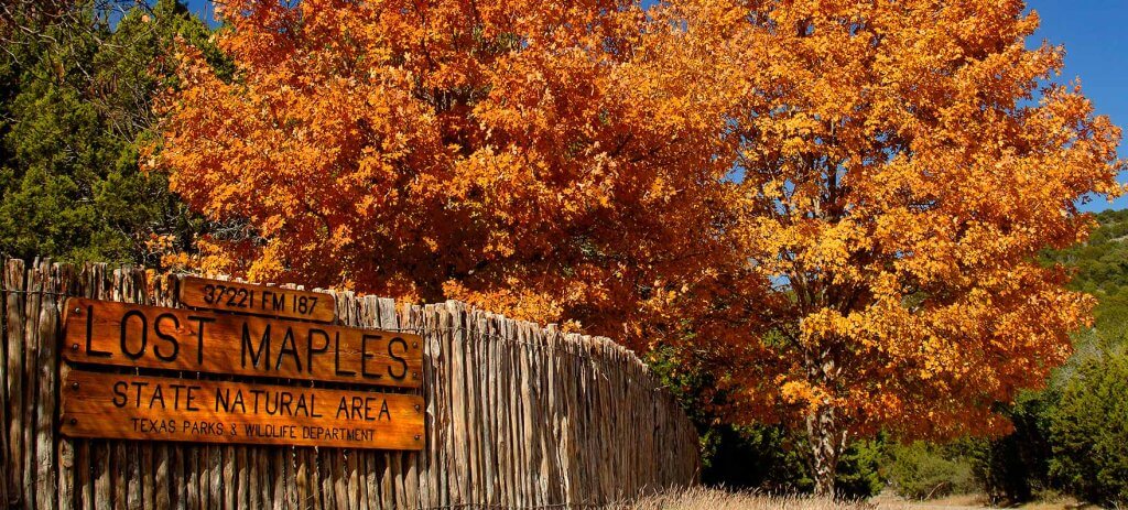 Lost maples nature area sign in the fall