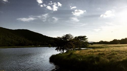A serene landscape featuring a calm lake surrounded by lush green grass, with a backdrop of rolling hills and a clear blue sky dotted with fluffy white clouds in Uvalde County, Texas