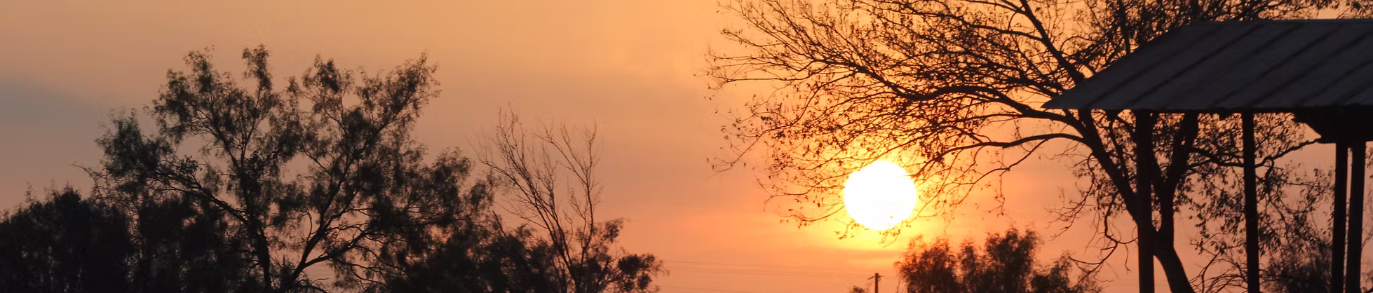 Mark Roberts Dove Hunting Uvalde