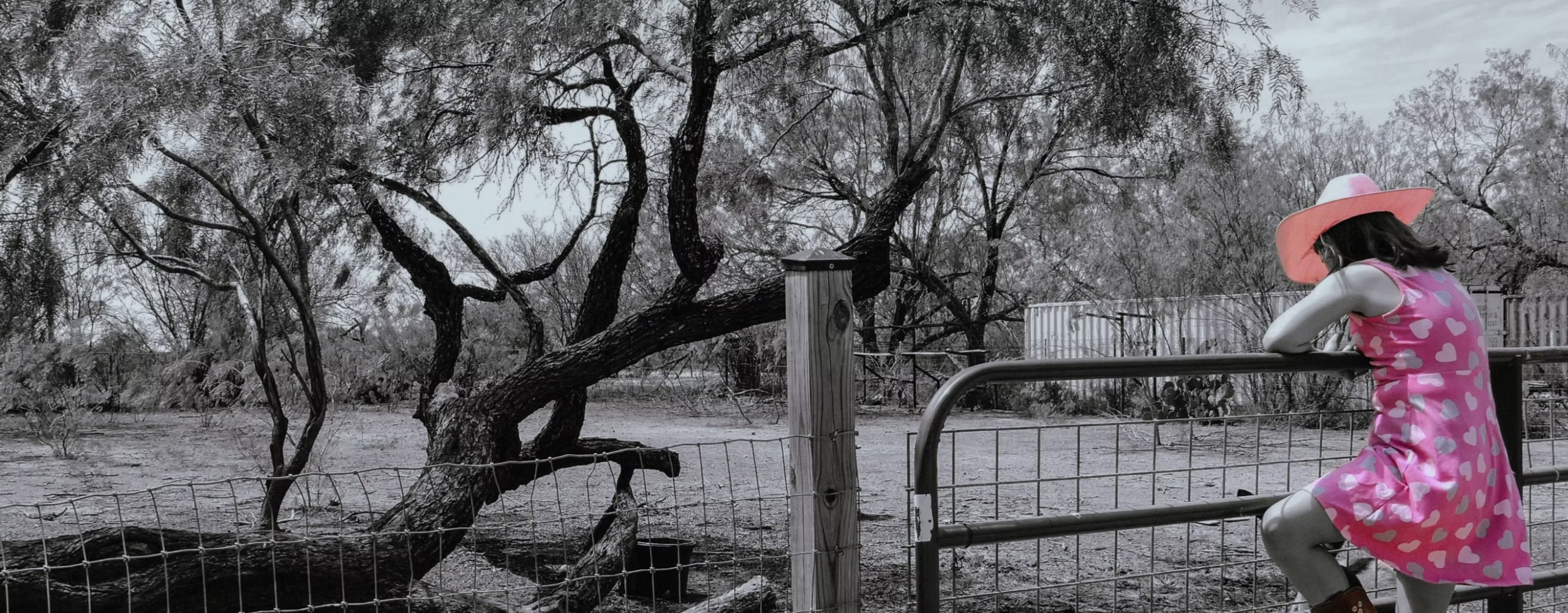 Moo Bueno Uvalde scaled