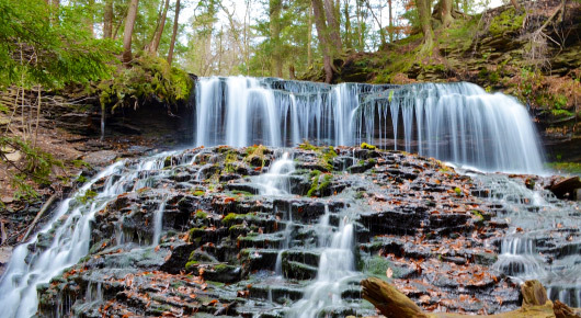A cascading waterfall flows over moss-covered rocks in a lush forest setting in Uvalde County, Texas