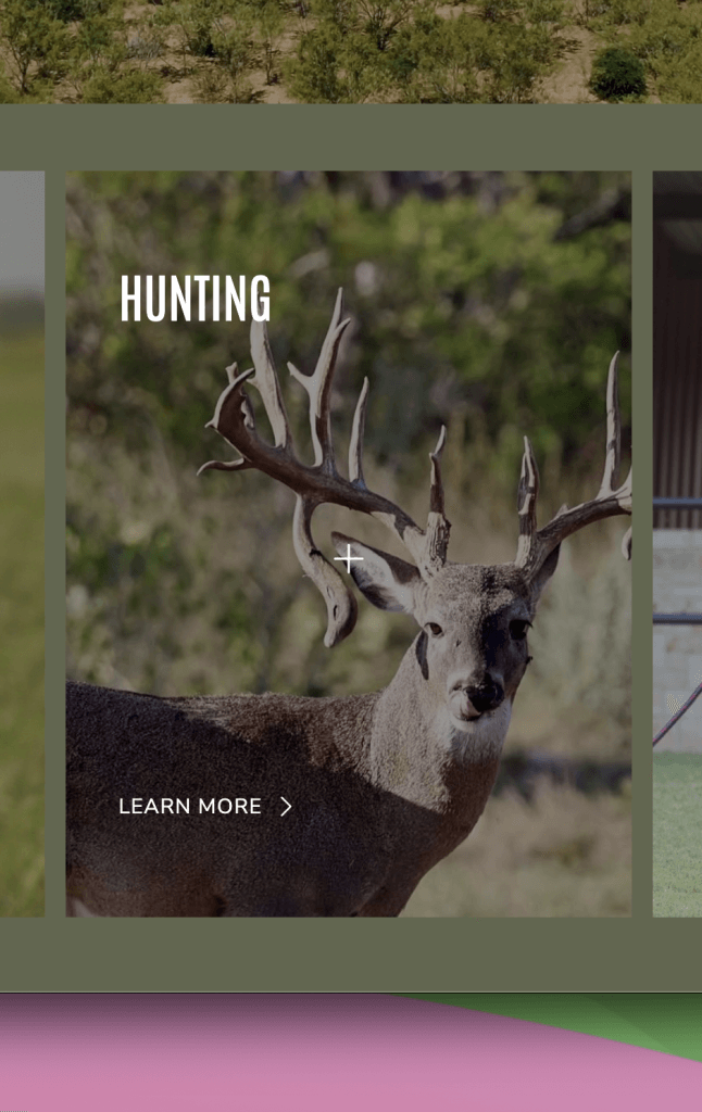 Screenshot 2026 02 26 at 12.20.08 PM