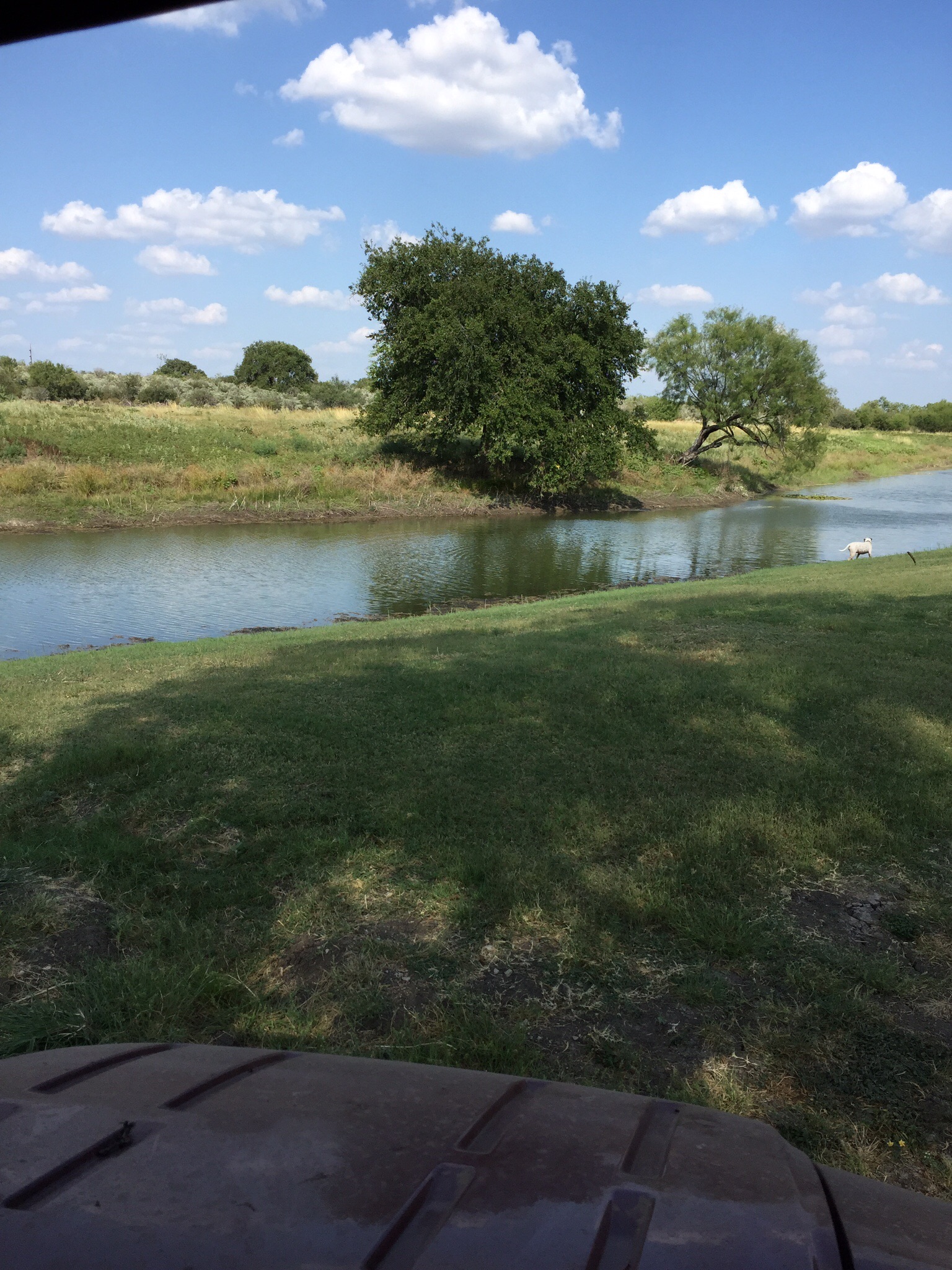 A serene river winds through a lush green landscape under a bright blue sky dotted with fluffy white clouds in Uvalde County, Texas