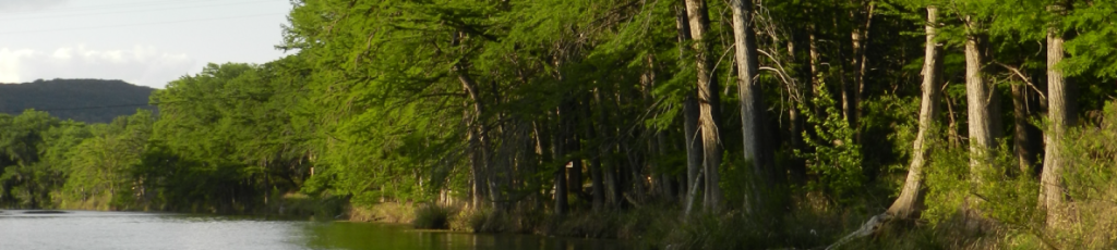 A serene river winds through a lush, green forest in Uvalde County, Texas, with tall trees and dense foliage lining its banks in Uvalde County, Texas