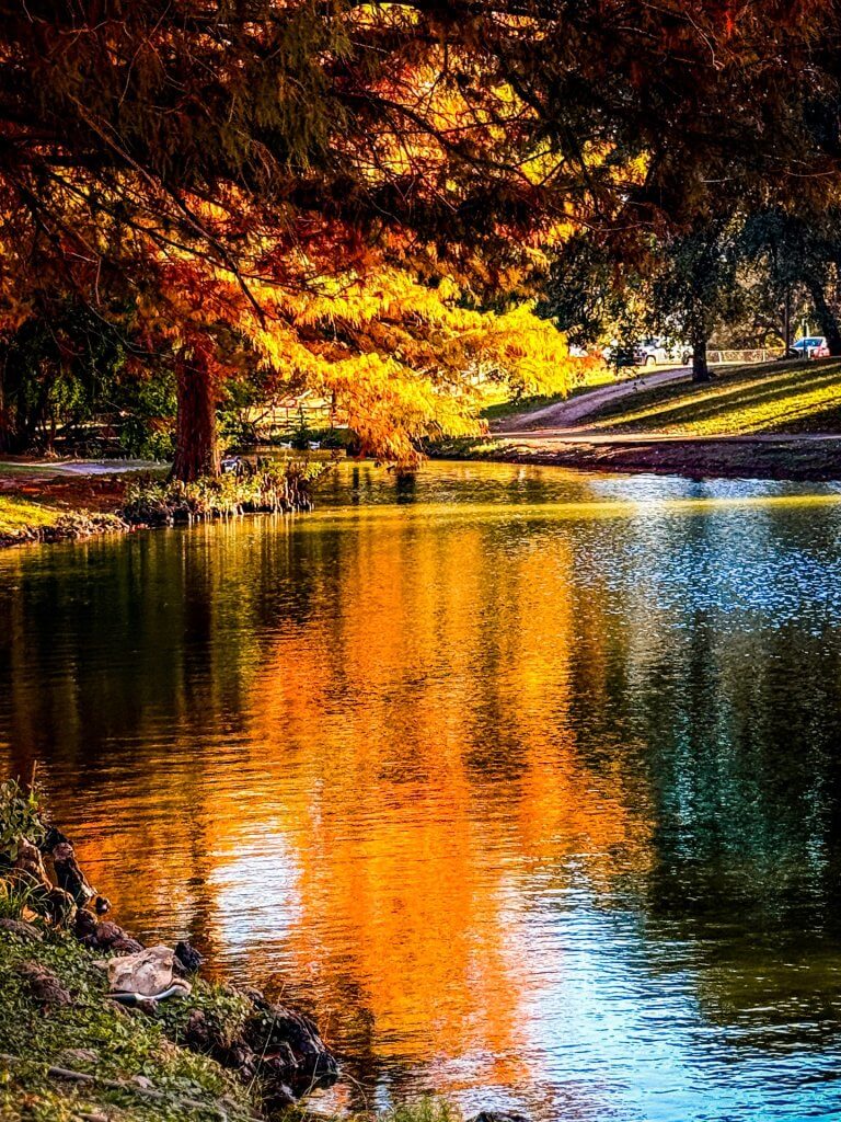 Uvalde memorial park