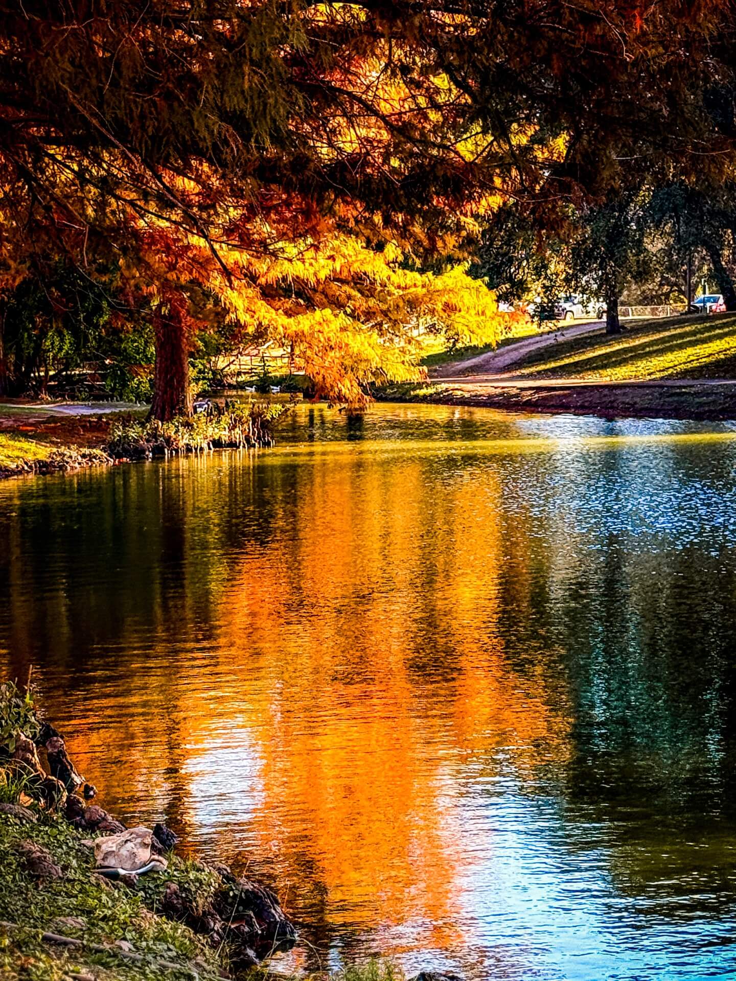 Uvalde Memorial Park