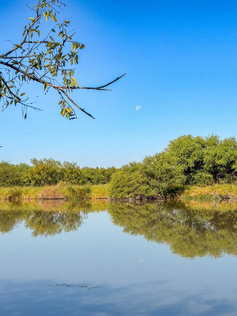 the chicana birder Instagram 3971 ig 17910584430251066