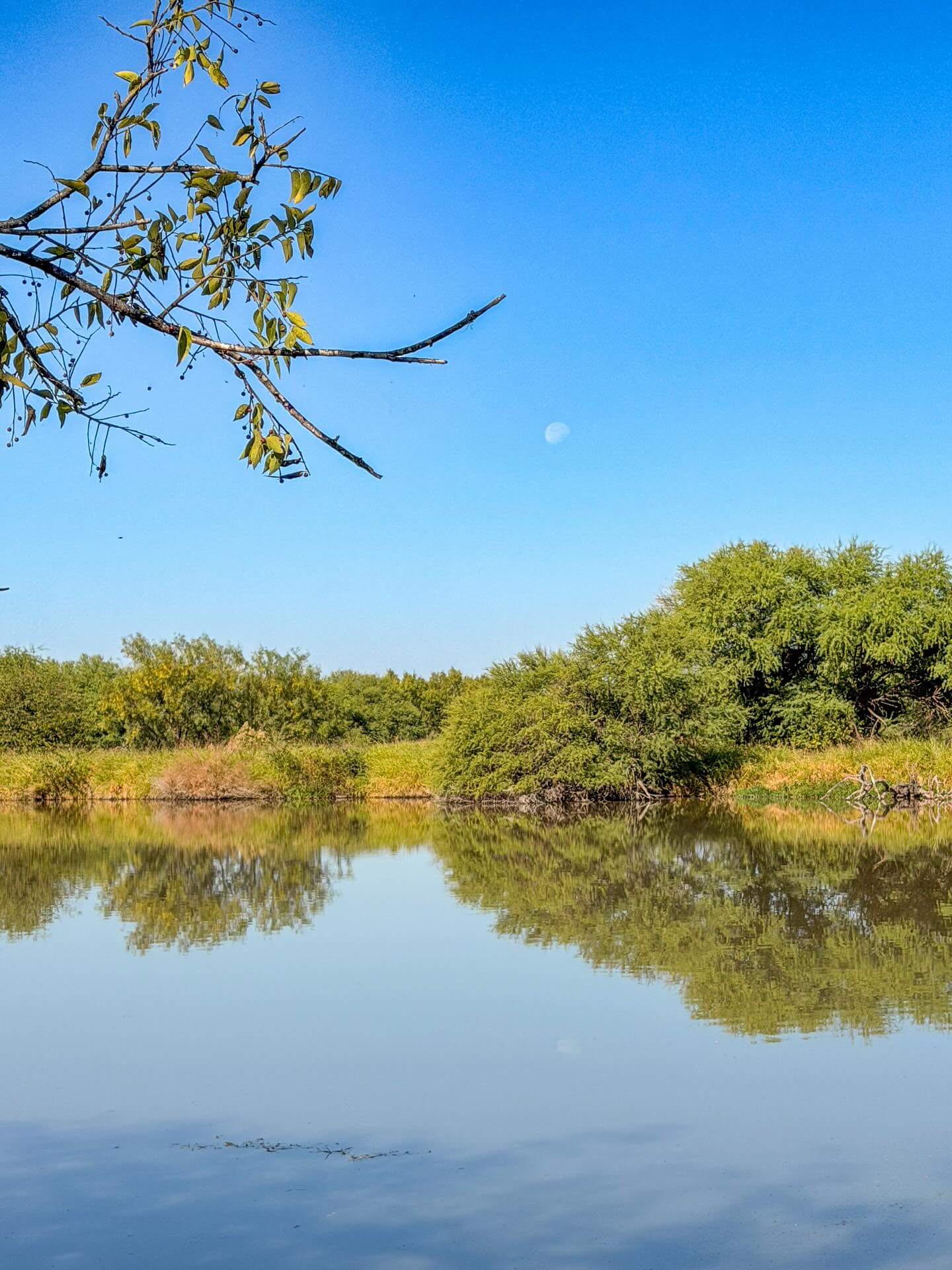 Cooks Slough Nature Park