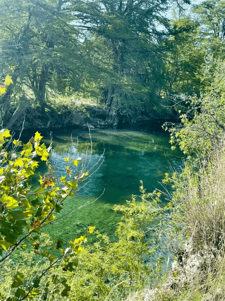 An image of a deep green and blue swimming hole on a river lined with cypress and sycamore trees